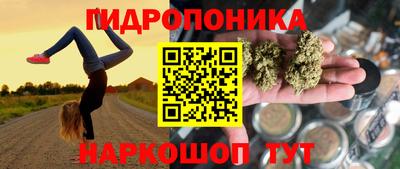 мяу мяу мука Партизанск