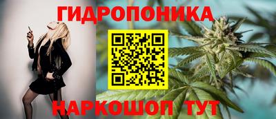 мяу мяу мука Нягань