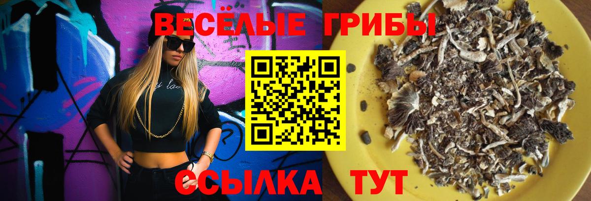 Псилоцибиновые грибы прущие грибы  Псилоцибиновые грибы Magic Shrooms  даркнет сайт  Родники  Вход с VPN 